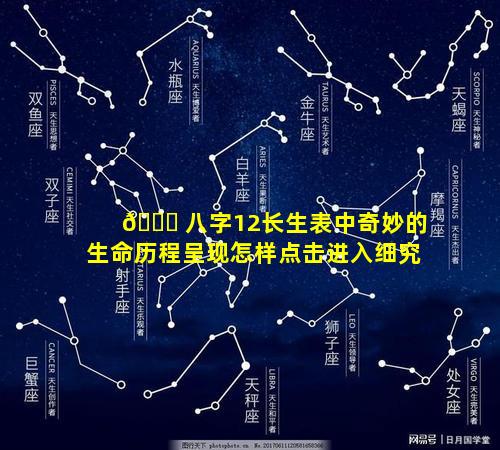 🐈 八字12长生表中奇妙的生命历程呈现怎样点击进入细究